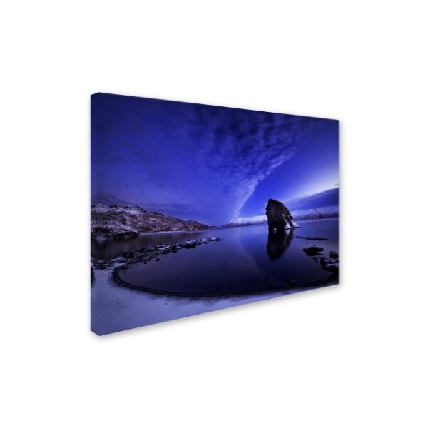 Bragi Ingibergsson 'Awakening' Canvas Art,24x32